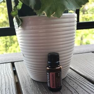 Geranium doterra oil